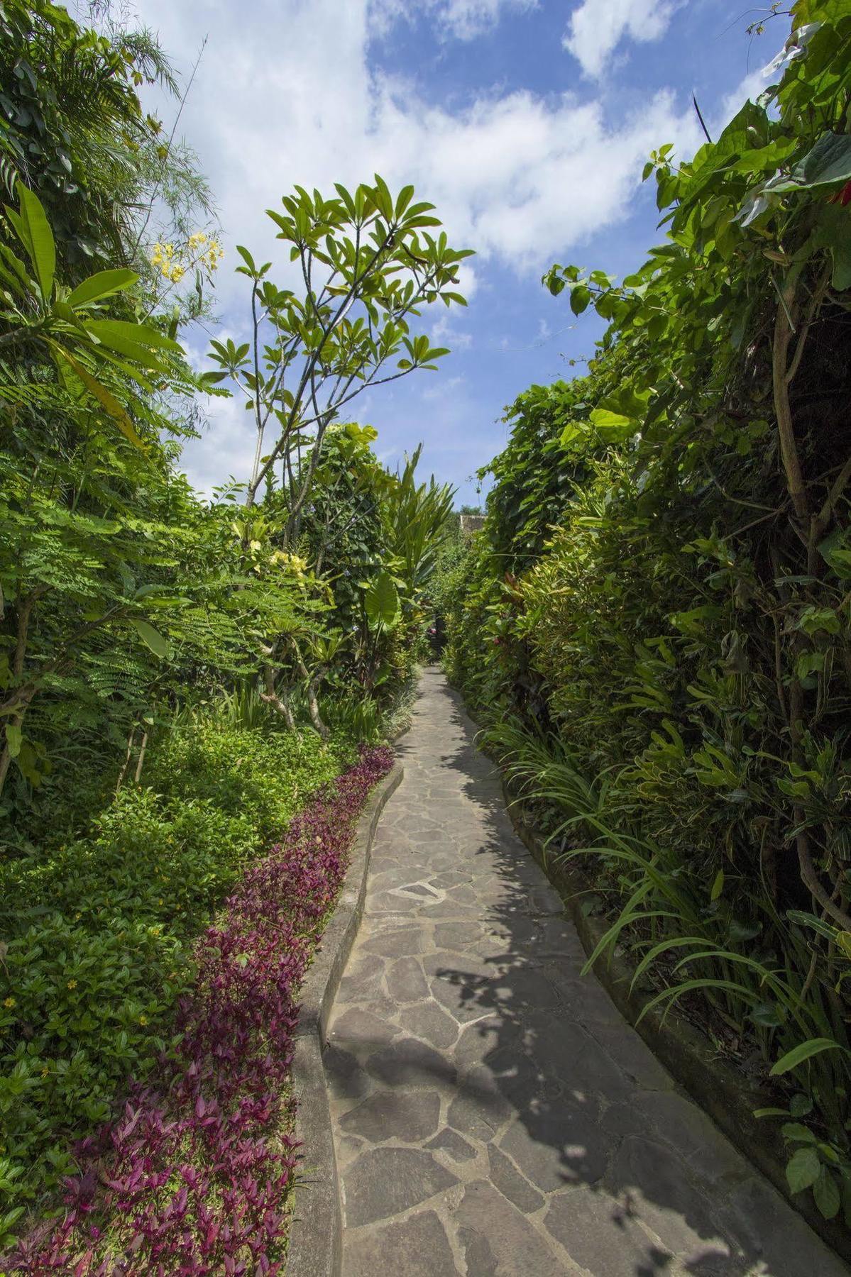 Ladera Villa Ubud Екстериор снимка